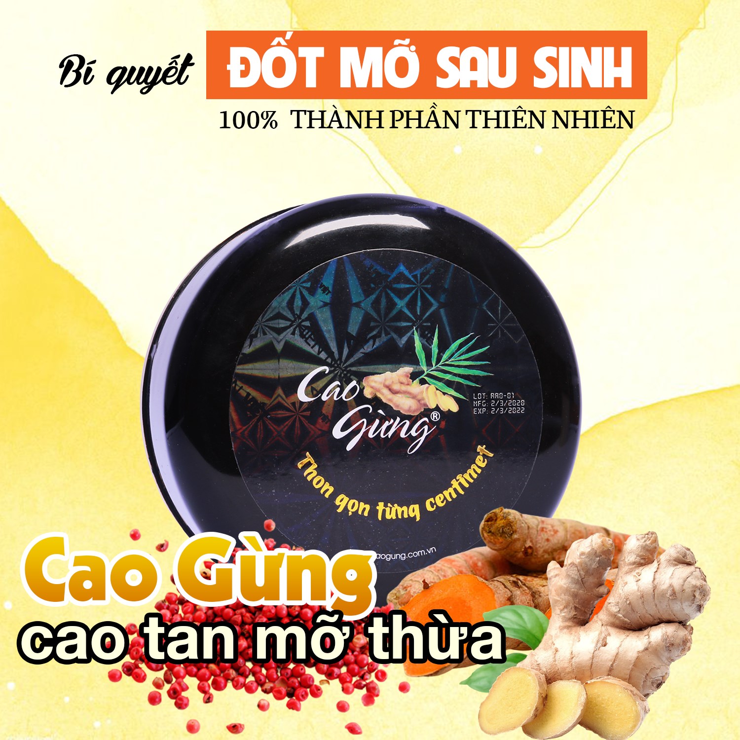 14329-post-app-1077-122903089-768254873906166-6978078184353137899-o-10.jpg Cao Gừng Tan Mỡ Bụng Thiên Nhiên Việt 250g Phiên Bản 2025 - Tặng Cao Gừng Nghệ Đỏ - 8936079033002
