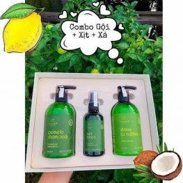 Bộ 3 đặc trị rụng tóc VIjully chính hãng