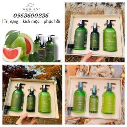Bộ 3 đặc trị rụng tóc VIjully chính hãng