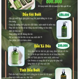 Bộ 3 đặc trị rụng tóc VIjully chính hãng