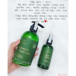 Bộ 3 đặc trị rụng tóc VIjully chính hãng