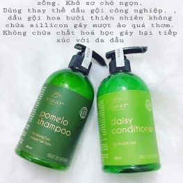 Bộ 3 đặc trị rụng tóc VIjully chính hãng