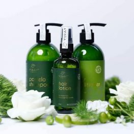 Bộ 3 đặc trị rụng tóc VIjully chính hãng