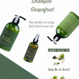 Bộ 3 đặc trị rụng tóc VIjully chính hãng