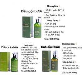 Bộ 3 đặc trị rụng tóc VIjully chính hãng