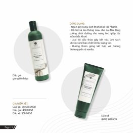 Combo bộ dầu gội xả Weilaiya mọc tóc chiết xuất gừng xả - 6971025880370