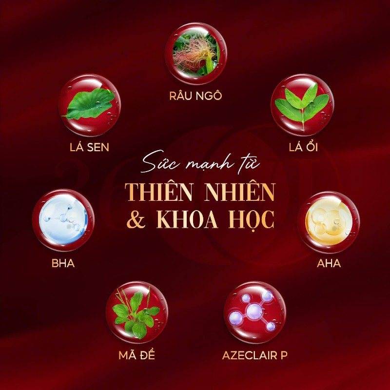 15588_phu-photoroom-41_20250107111627-2.jpg Serum Cốt Huyết Thanh Thảo Dược Sâm Đỏ 36 Vị 10ml MeeA Origin - 893853467078