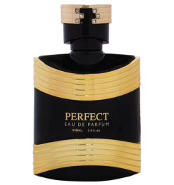 Nước Hoa Nam Good Charme Perfect 100ml chính hãng - 8936194691903