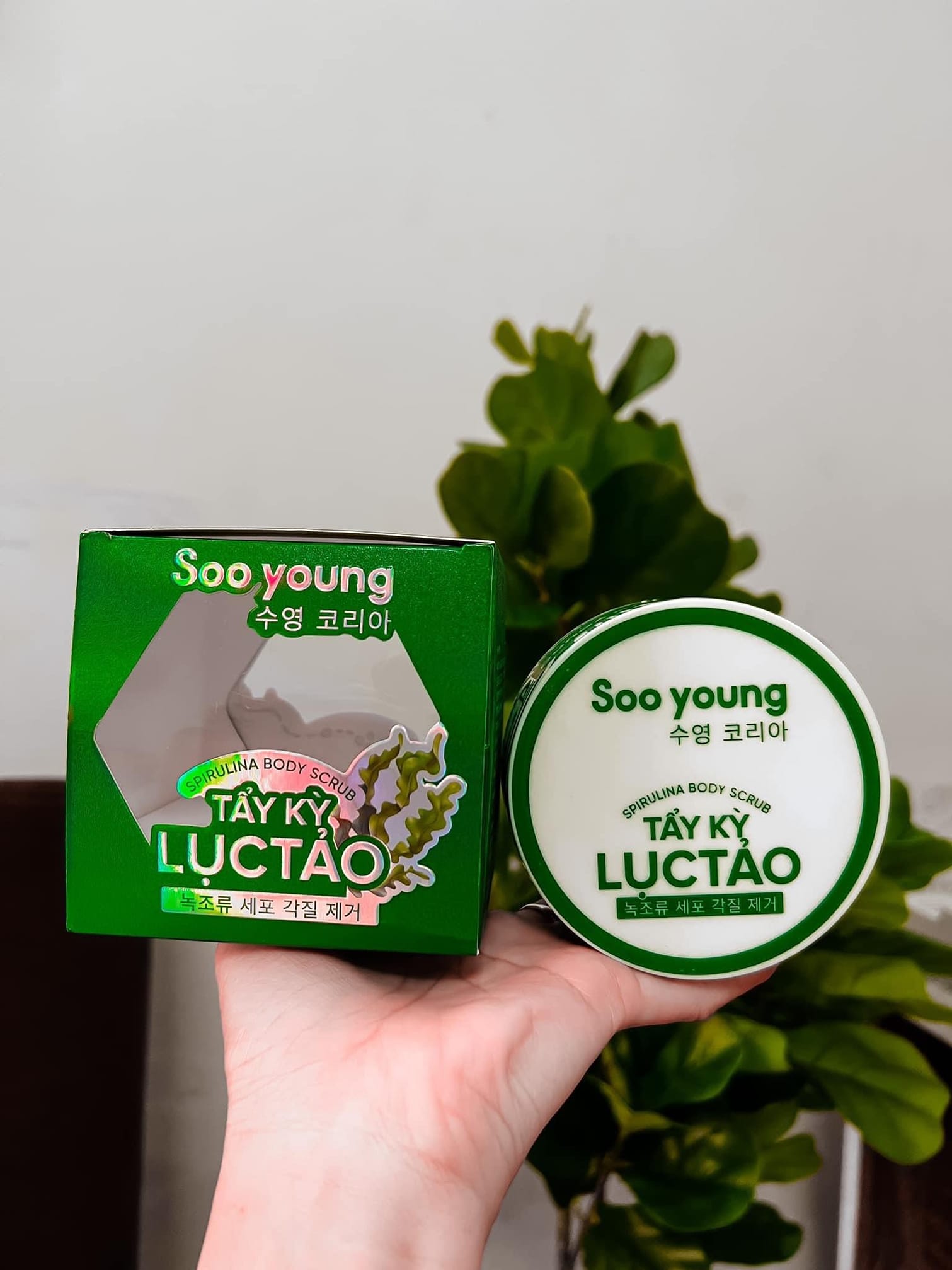 16501-278272471-414544923818090-1013408256974353064-n-3.jpg Tẩy Kỳ Lục Tảo Soo Young - 8938532152092