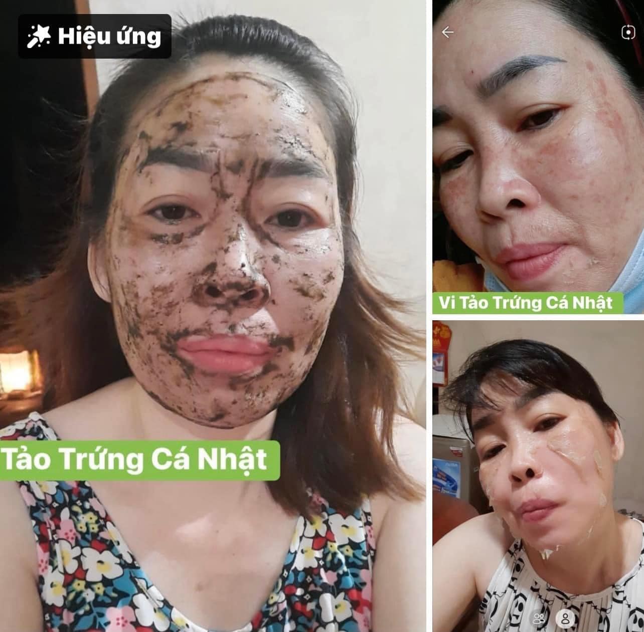 Vi tảo trứng cá nhật tái tạo Nicos chính hãng
