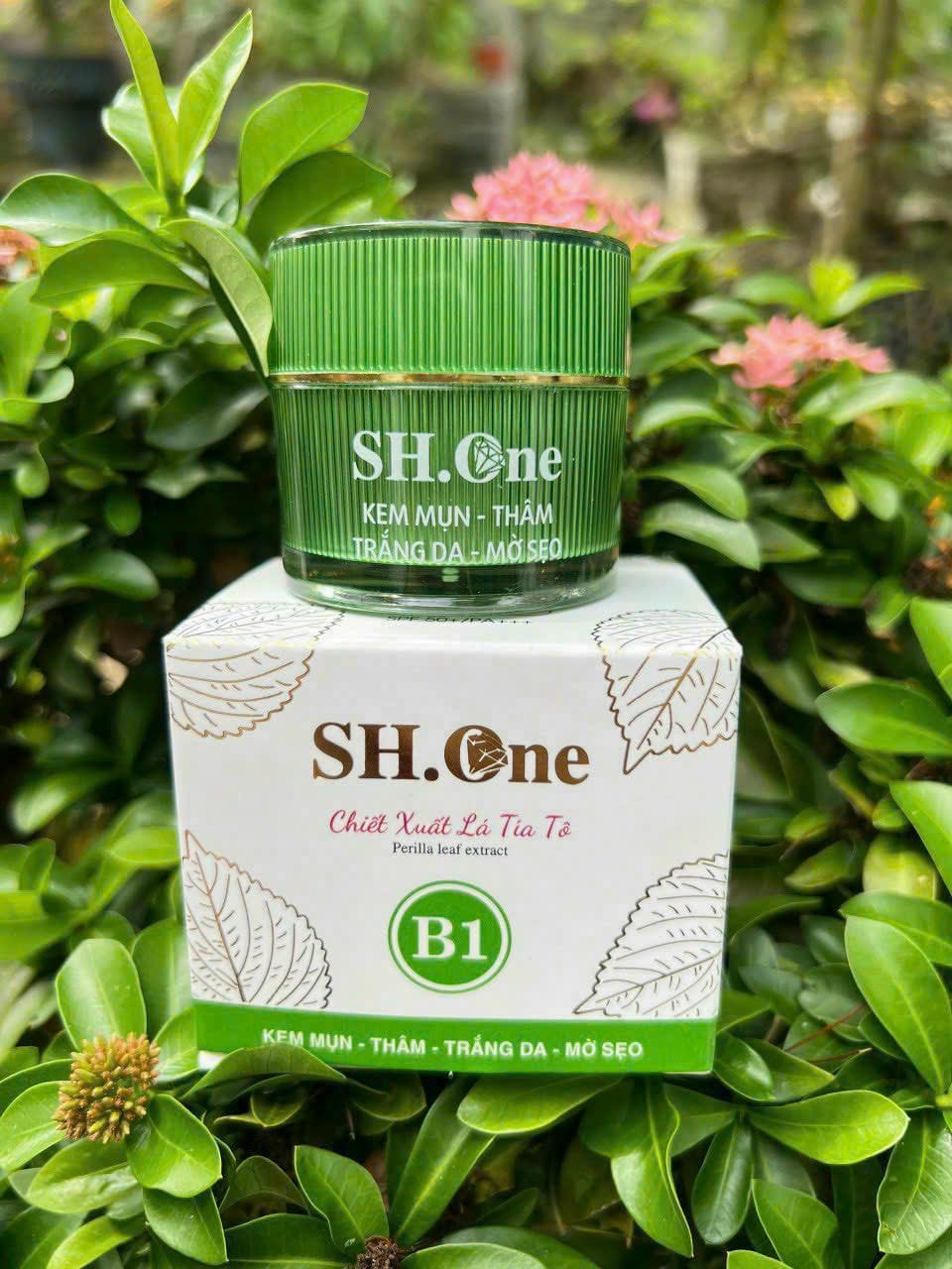 Kem Face Mụn Thâm B1 SH One Xanh Chiết Xuất Lá Tía Tô