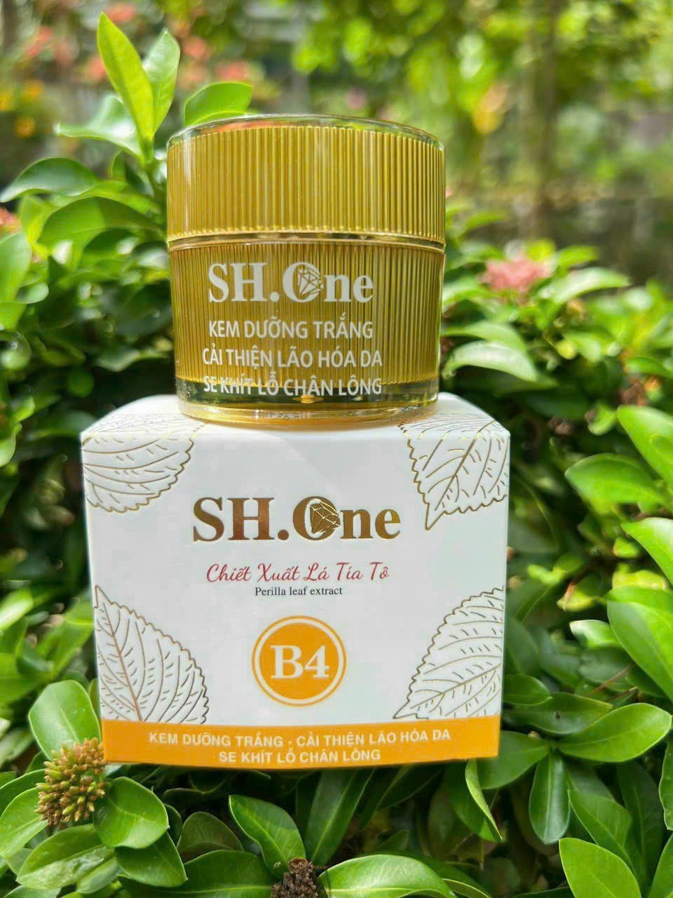 Kem Face Dưỡng Trắng Chống Lão Hoá B4 SH One Vàng Chiết Xuất Lá Tía Tô