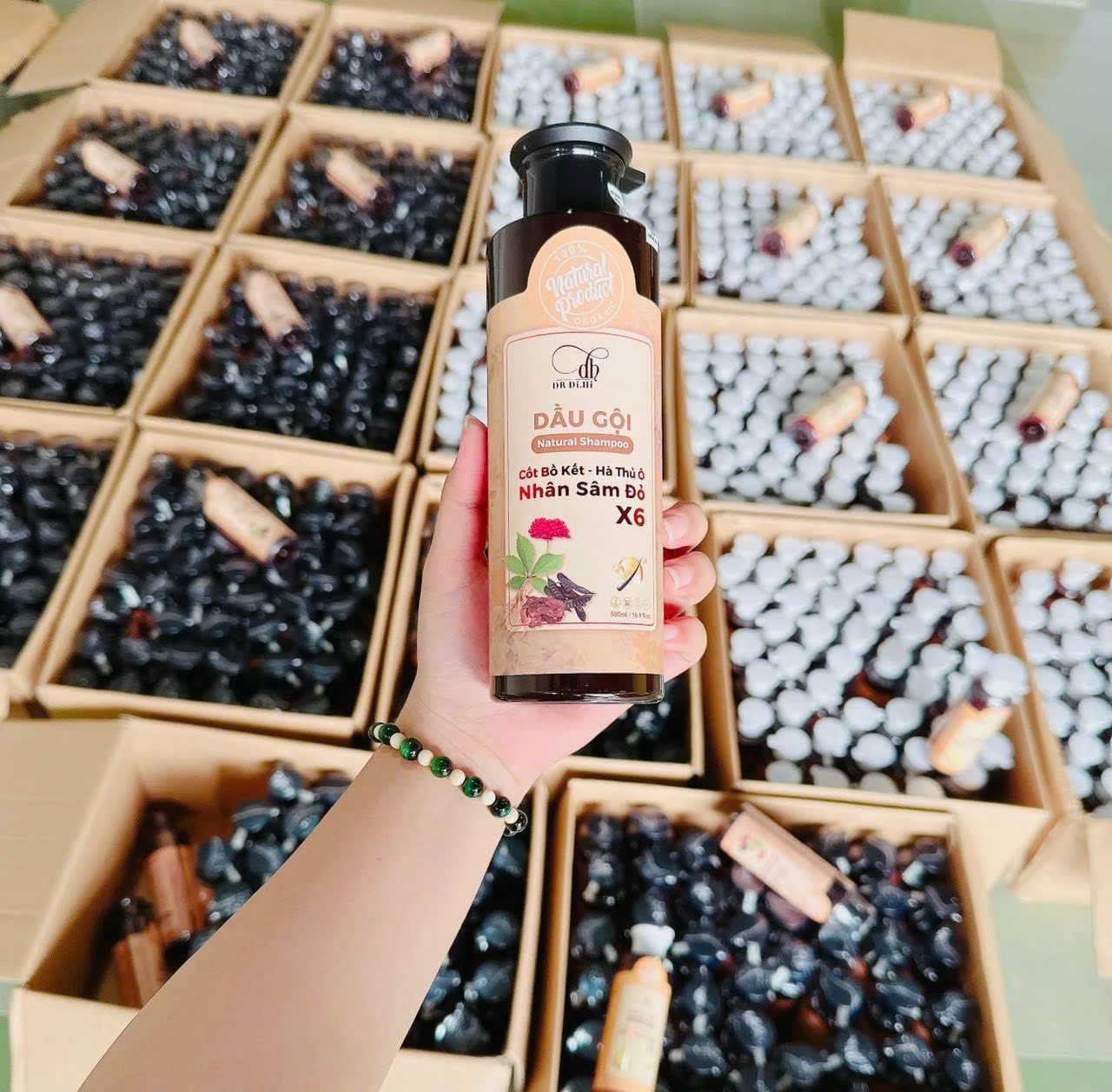 21130-z4674317814935-9b0d24efa6c40c34ed96b38caaa4de2d-2.jpg Dầu Gội Cốt Bồ Kết Hà Thủ Ô Nhân Sâm Đỏ X6 Dr Di Hi - 8936118011527