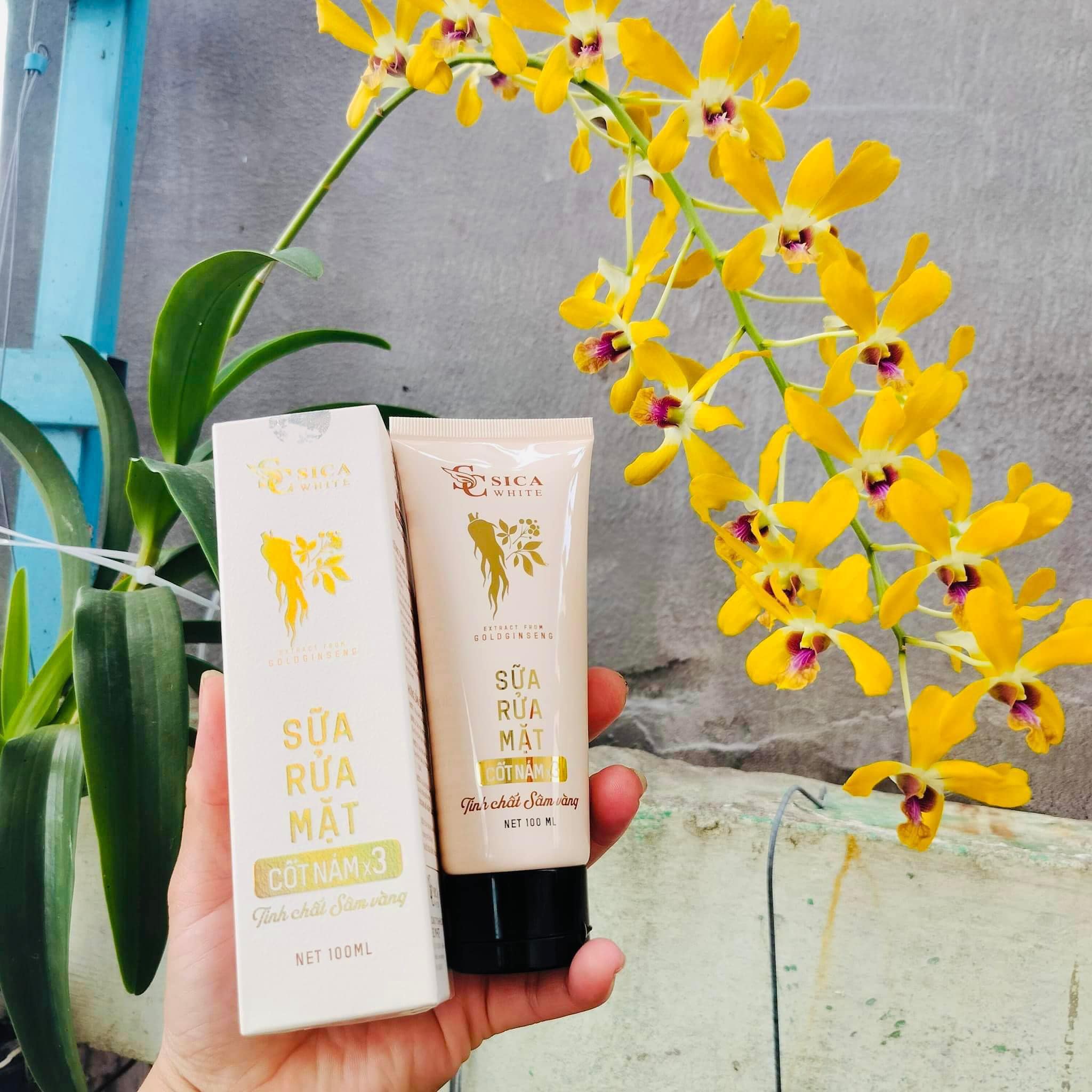 Sữa Rửa Mặt Sica White Cốt Nám X3 Tinh Chất Sen Vàng