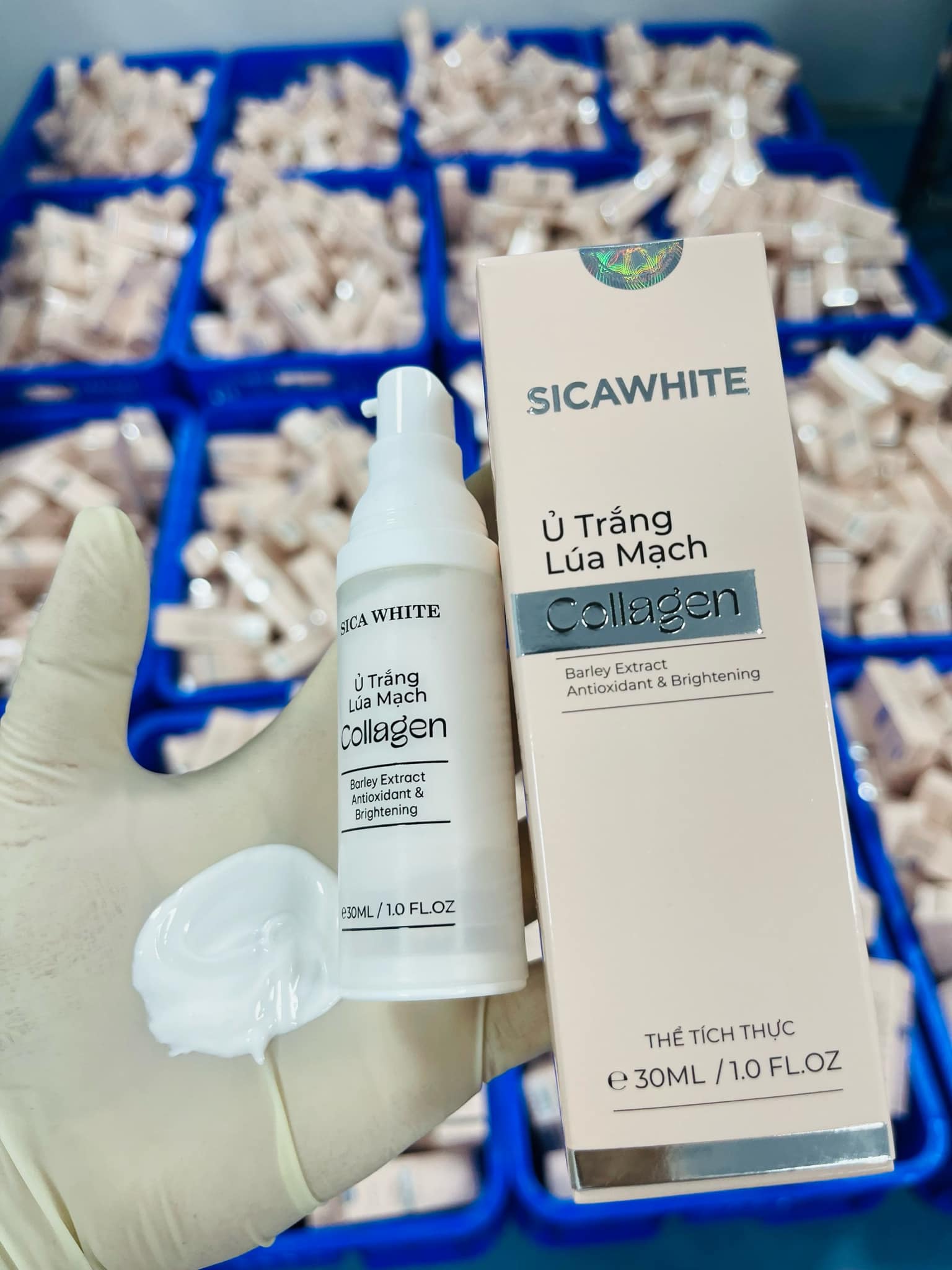 24777_452906368-519537340830203-6344910407764094171-n_20240803161141-2.jpg Kem Ủ Trắng Lúa Mạch Collagen Sica White - 8936226110334