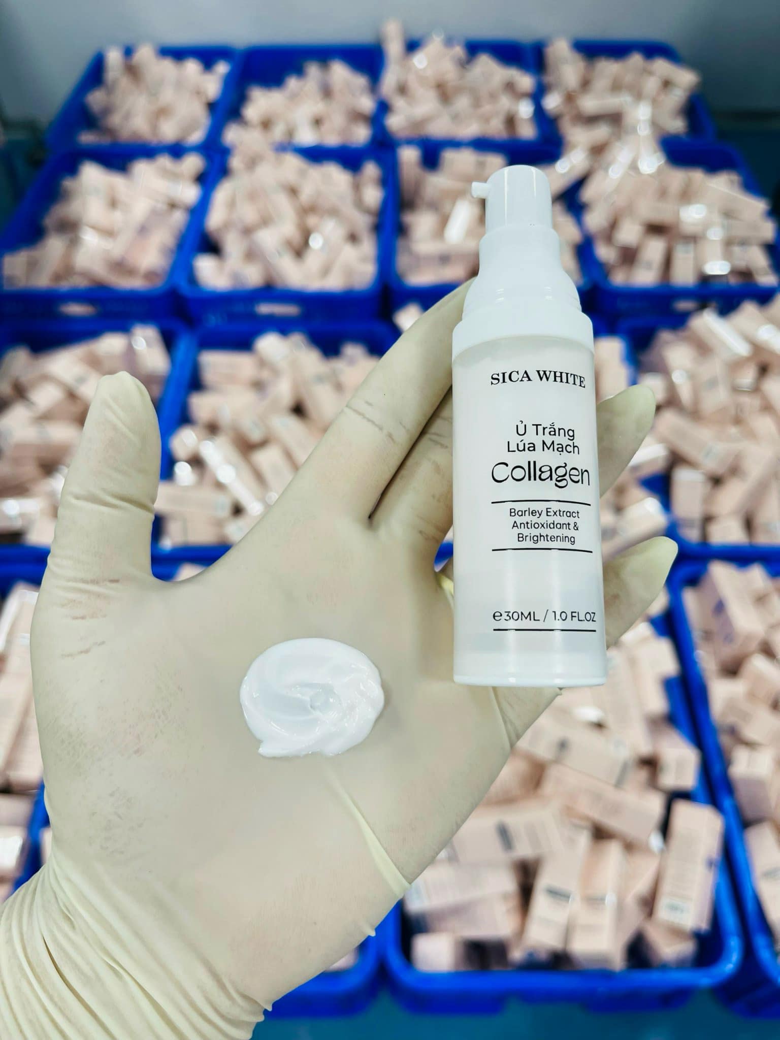 24777_452915615-519695257481078-2633678875521023888-n_20240803161141-2.jpg Kem Ủ Trắng Lúa Mạch Collagen Sica White - 8936226110334