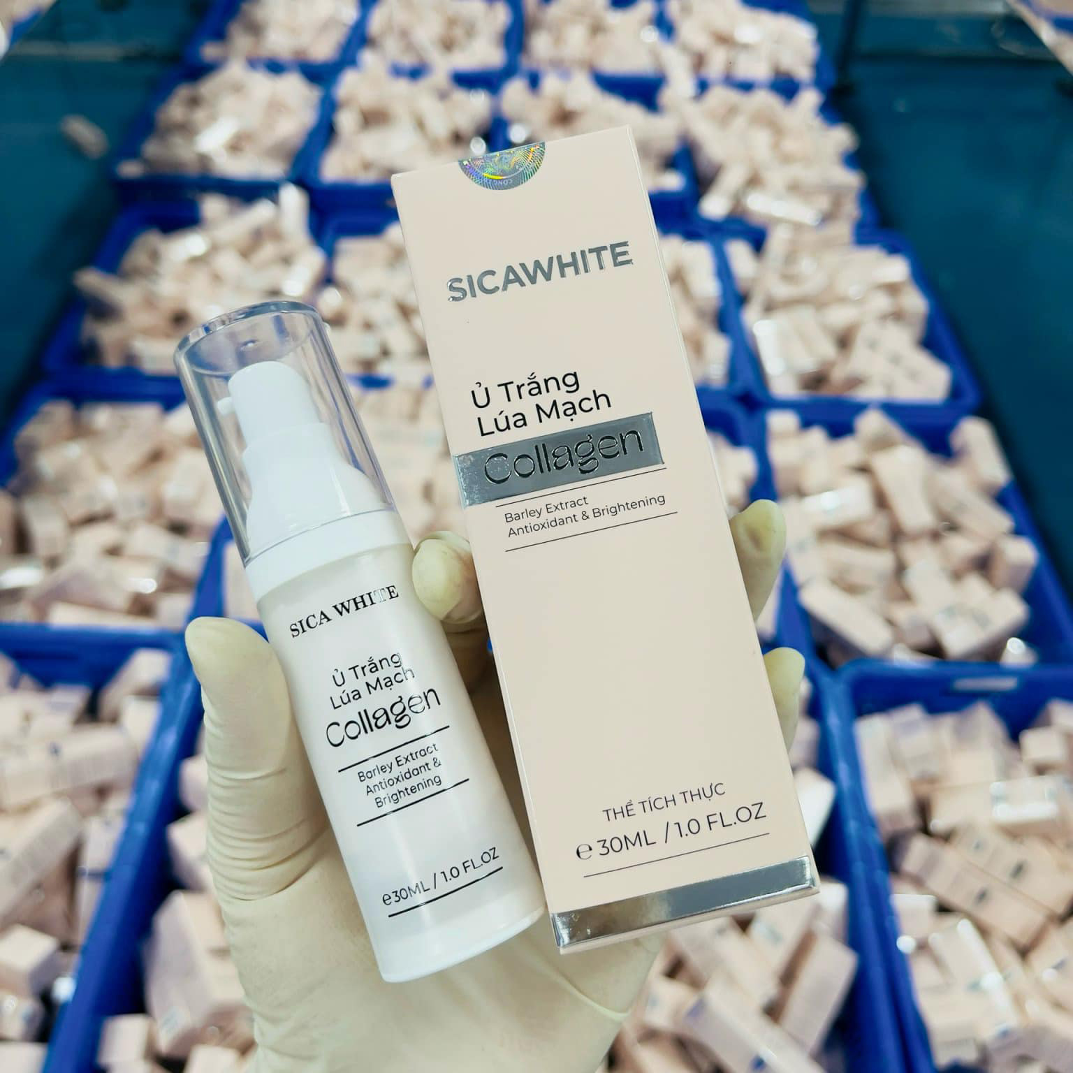 24777_452955951-519695314147739-1992038469912767237-n_20240803161143-2.jpg Kem Ủ Trắng Lúa Mạch Collagen Sica White - 8936226110334