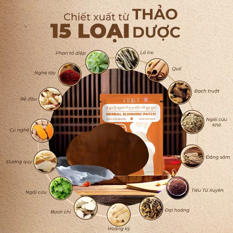 25722_mieng-dan-giam-mo-phu-photoroom-5_20241112100010-1.png Miếng Dán Tan Mỡ Đông Y Tây Tạng Ohio Slimming Patch - MDTMDY