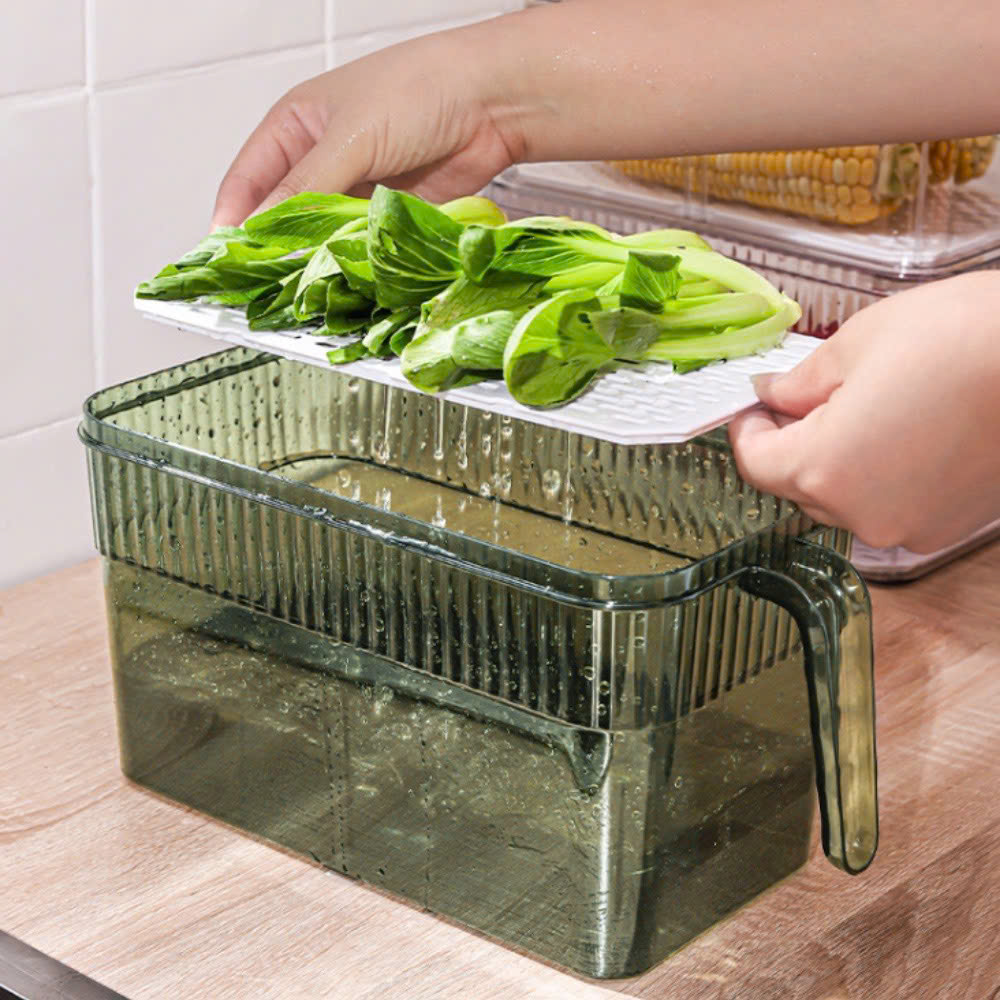 25923_z6219065553640-bbaf66c8f52692594304c09642a7b9c3_20250114095505-13.jpg Hộp Đựng Thực Phẩm Rau Củ Trái Cây Có Tay Cầm 28x13x13cm - HDTPCTC