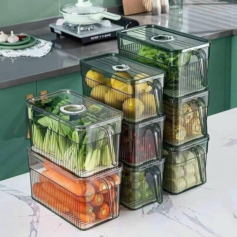 25923_z6219065613586-77db2ef648d4a23d23d93d47854ce296_20250114095508-13.jpg Hộp Đựng Thực Phẩm Rau Củ Trái Cây Có Tay Cầm 28x13x13cm - HDTPCTC