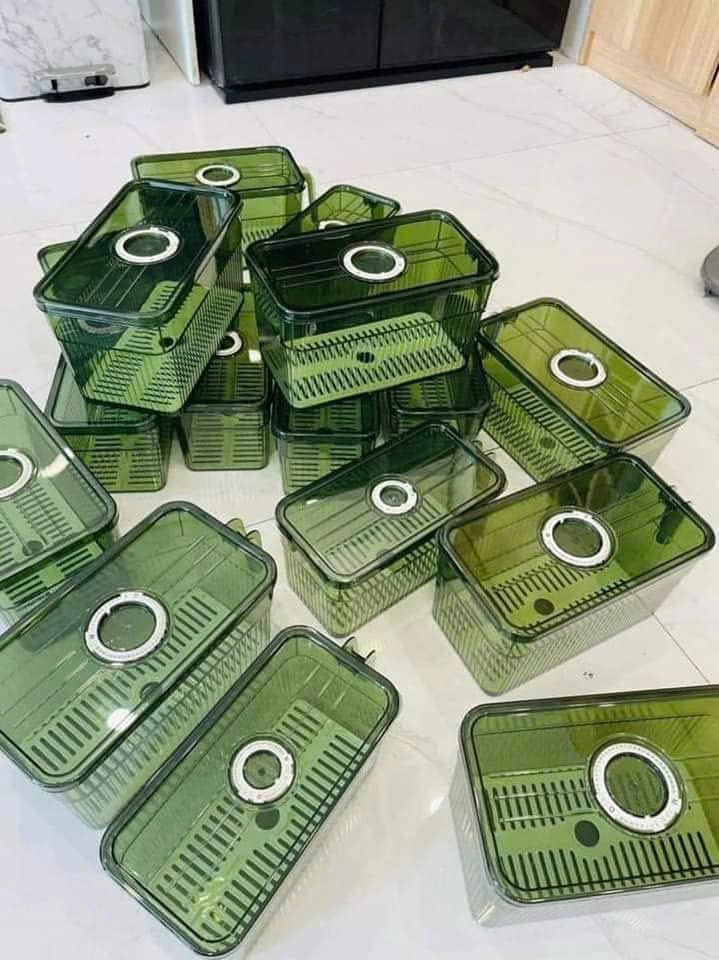 25923_z6219065620383-2091689426a080a5123c68d8d59eee25_20250114095508-13.jpg Hộp Đựng Thực Phẩm Rau Củ Trái Cây Có Tay Cầm 28x13x13cm - HDTPCTC