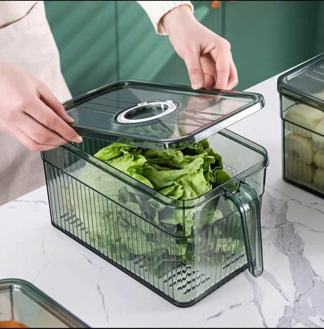 Giá sỉ hộp Đựng Thực Phẩm Rau Củ Trái Cây Có Tay Cầm 28x13x13cm