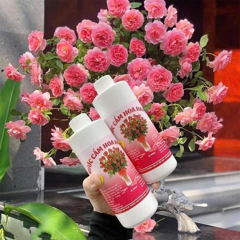 25982_z6230737509651-b200d0913287253f9f56dffd53a457d3_20250117171332-2.jpg Nước Cắm Hoa Hamilk - Nước Giúp Hoa Tươi Lâu 14 Ngày 500ml - NLTH01