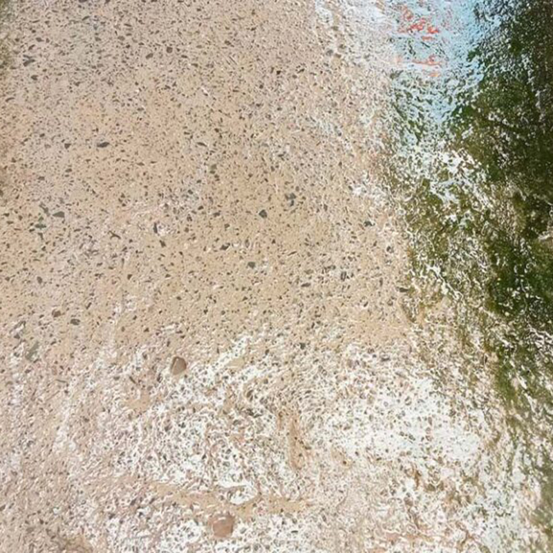 Giá sỉ bột Tẩy Rong Rêu Chống Trơn Trượt Sân Vườn Hiệu Quả 400g