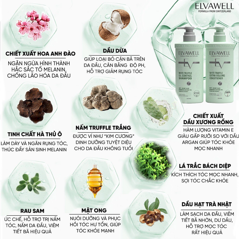 26477_z5189342133243-e5ae999623a2d04f477a35d7ff25a798_20250716155137-2.png Combo Dầu Gội Xả Elvawell Màu Xanh Nấm Truffle 1000ml Hỗ Trợ Tóc Sạch Dầu Bết - ELVAWELLXANH
