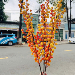 Combo 10 cành đông đào vàng 12 nhánh - COMBO10CNH