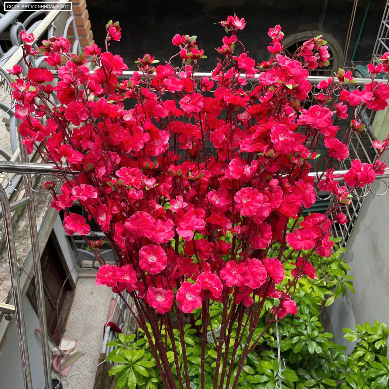 Set 10 CÀNH HOA MAI - ĐÀO TẾT