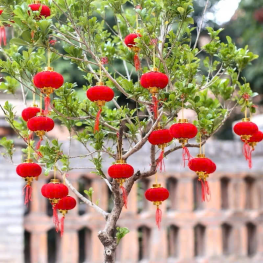 1 Bịt LỒNG ĐÈN NHUNG - Loại Bịt 30 Trái hoặc 25 Trái - LNGNNHUNG