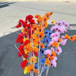 Combo 10 CÀNH ĐÀO RÂU Nhiều Màu - COMBO10CNHO