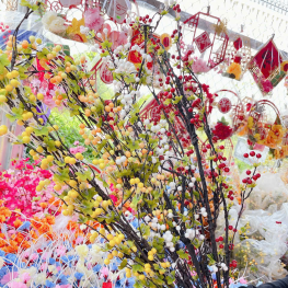 1 CÀNH CHERRY CỔ - 1CNHCHERRYC