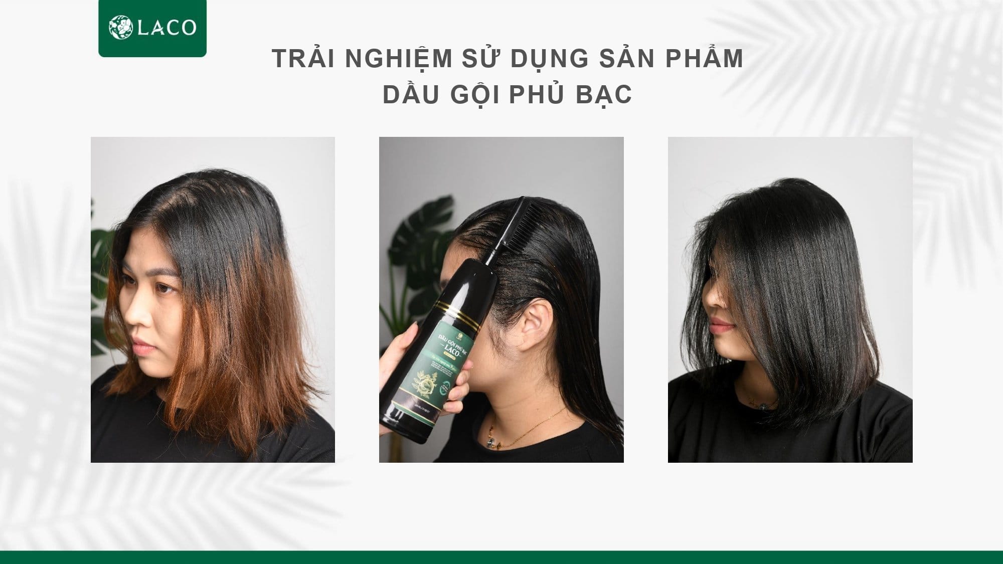 Dầu Gội Phủ Bạc Laco Màu Đen Nháy Sau Vài Phút